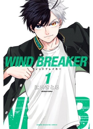 Wind Breaker (NII Satoru)